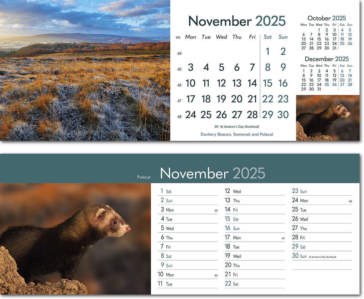 Rural Britain Premium Lined Easel Desk Calendar