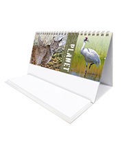 Wild Planet Task Station Desk Calendar