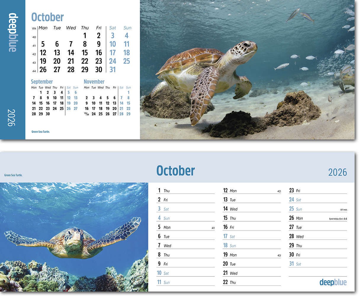 Deep Blue Note Station Desk Calendar