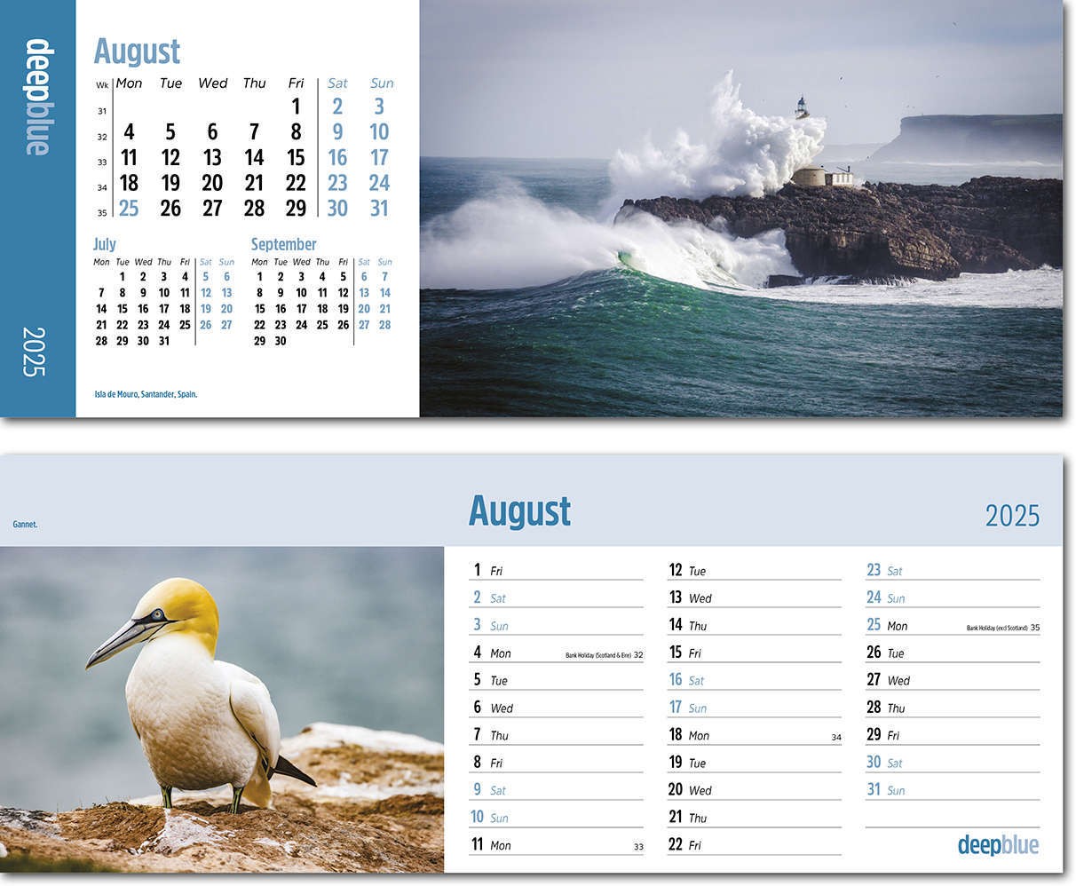 Deep Blue Task Station Desk Calendar