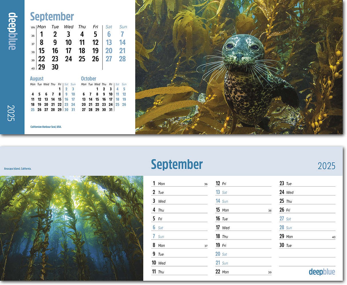 Deep Blue Task Station Desk Calendar