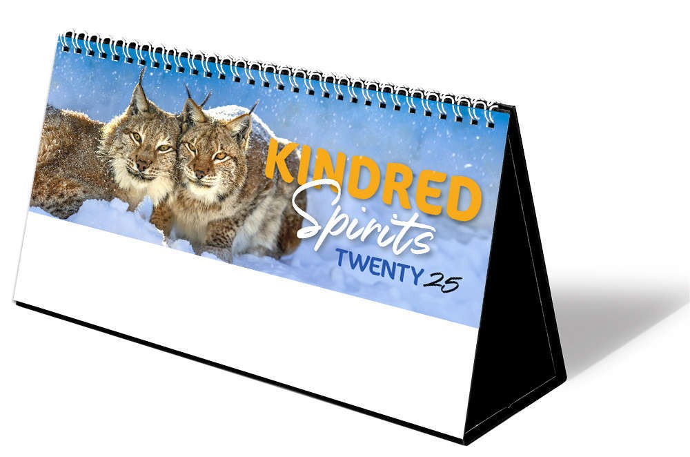 Kindred Spirits Premium Lined Easel Desk Calendar