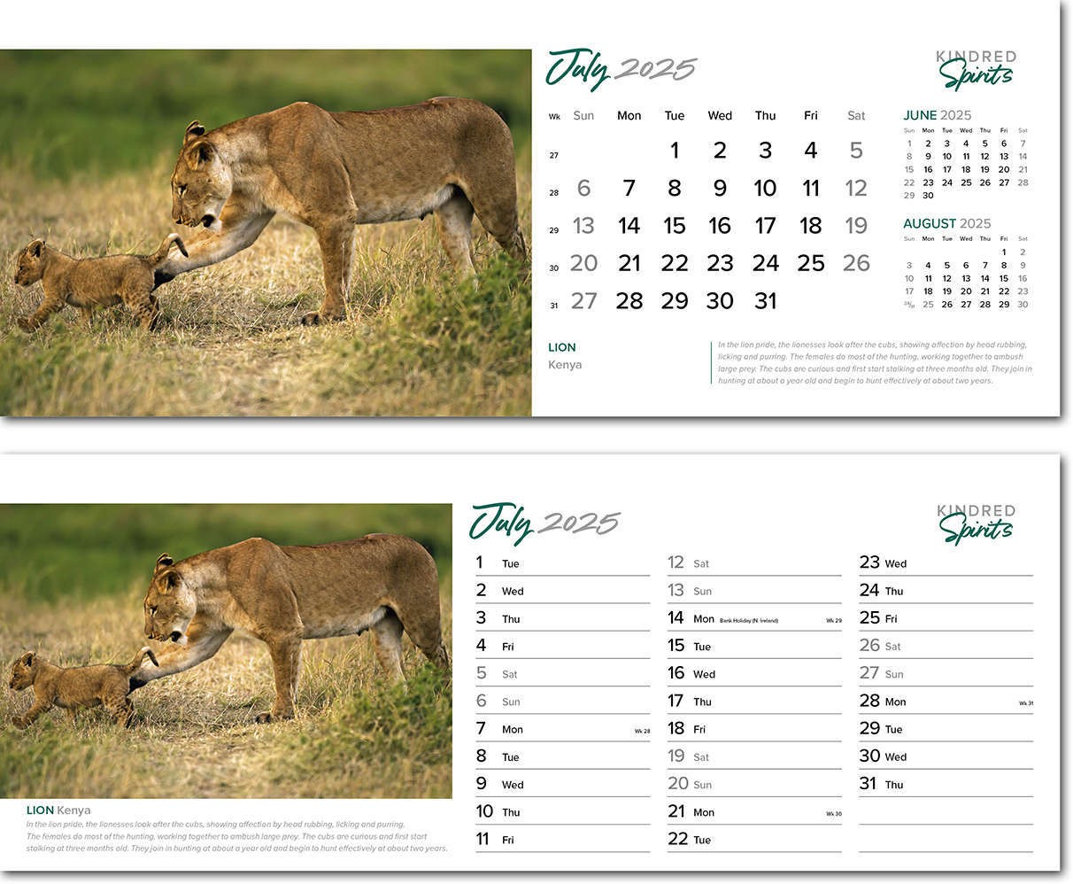 Kindred Spirits Premium Lined Easel Desk Calendar