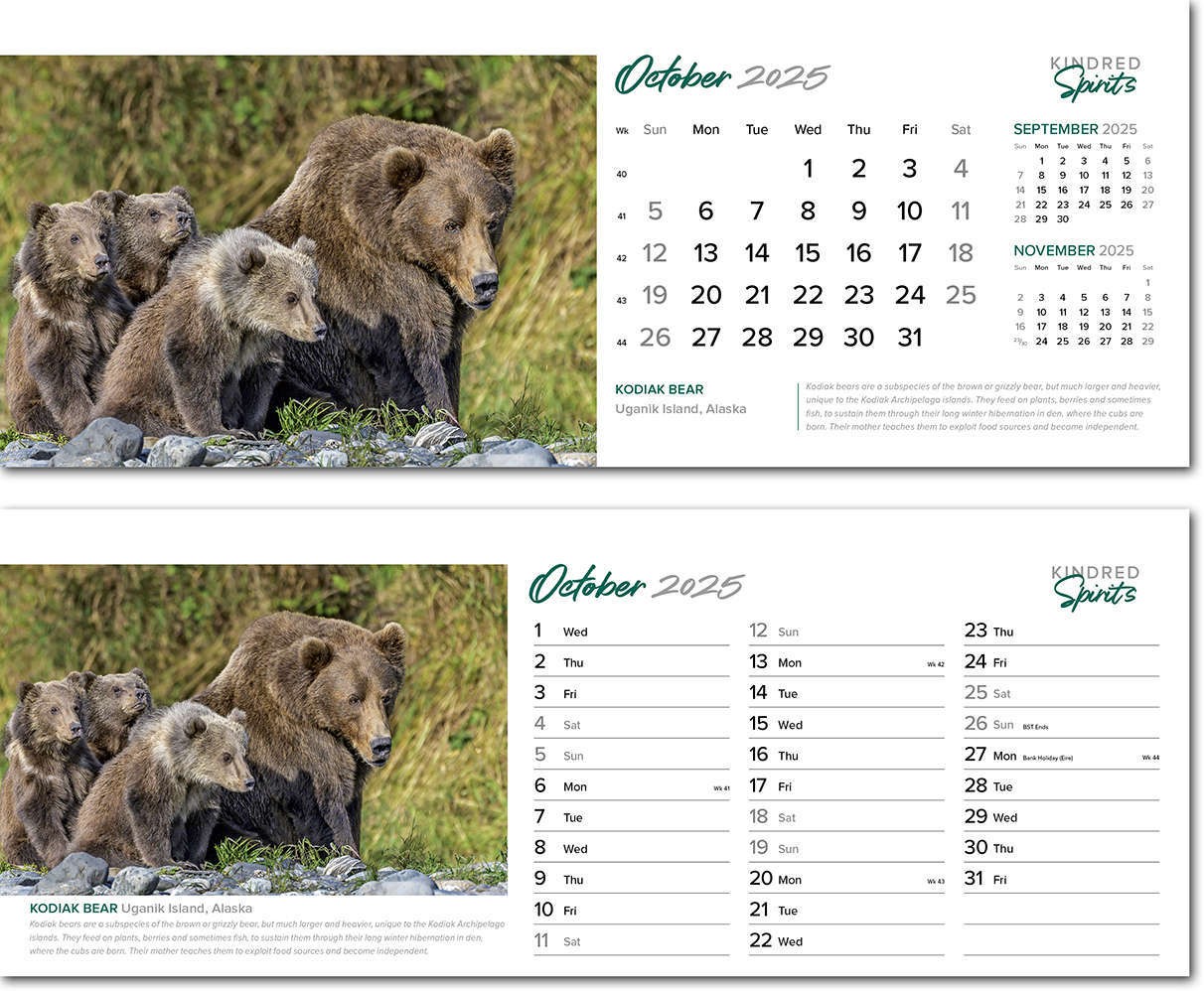 Kindred Spirits Premium Lined Easel Desk Calendar