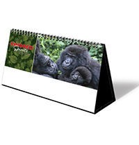 Kindred Spirits Premium Lined Easel Desk Calendar