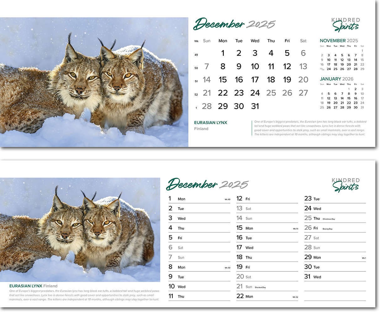 Kindred Spirits Task Station Desk Calendar