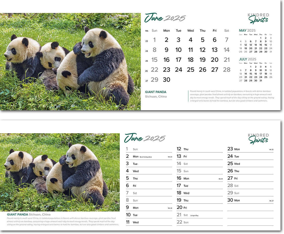 Kindred Spirits Task Station Desk Calendar