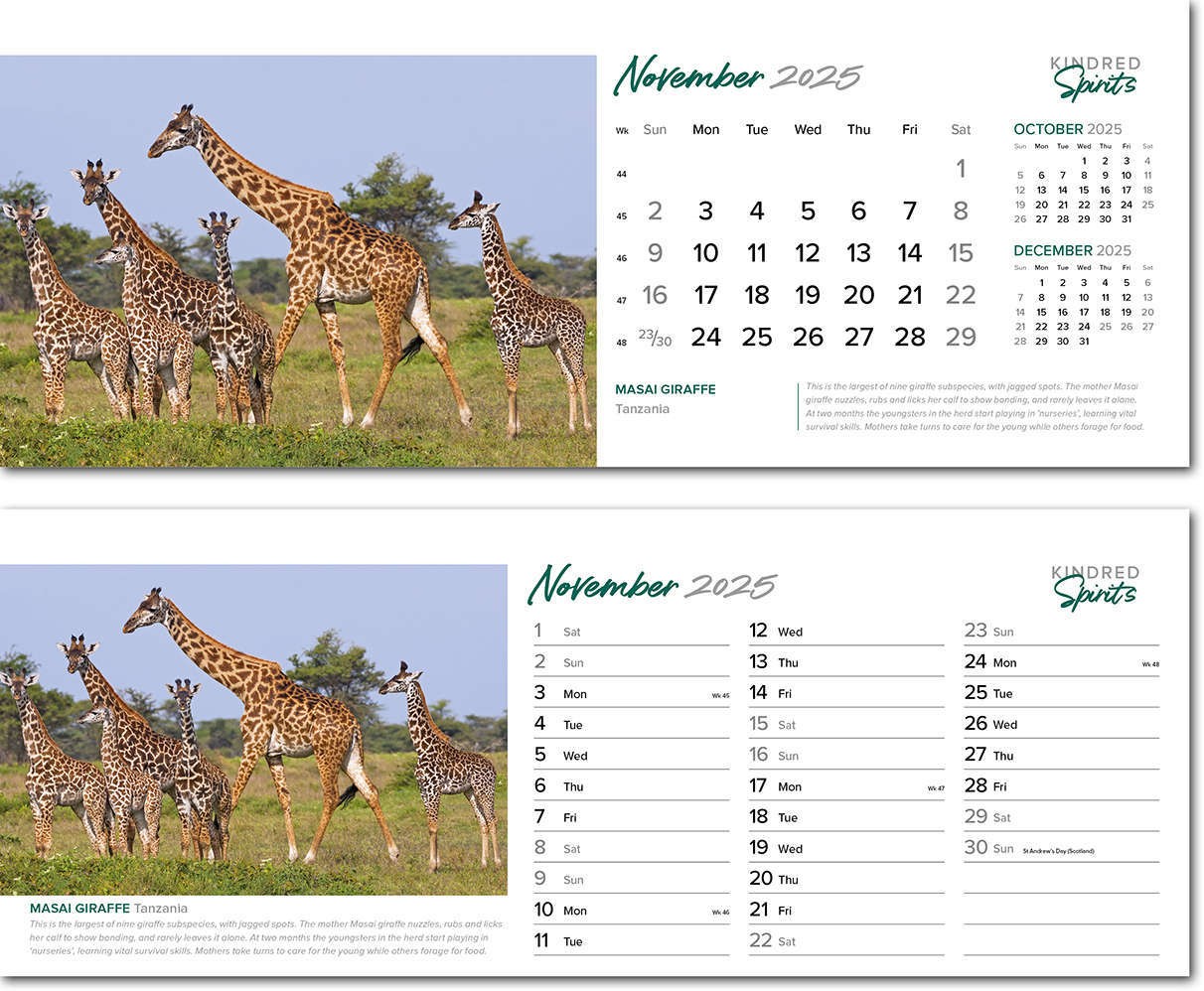 Kindred Spirits Task Station Desk Calendar