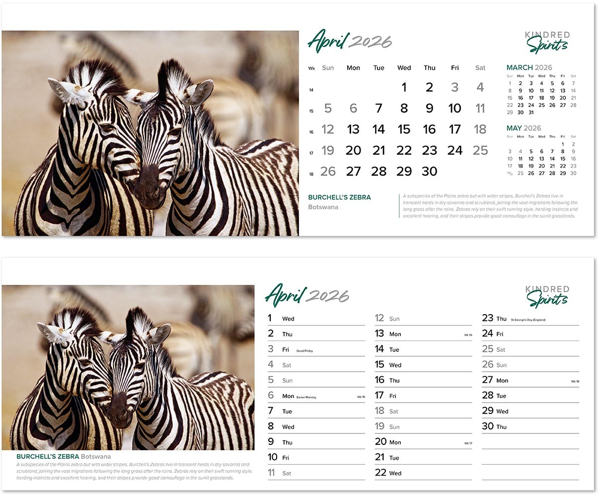 Kindred Spirits Desk Calendar
