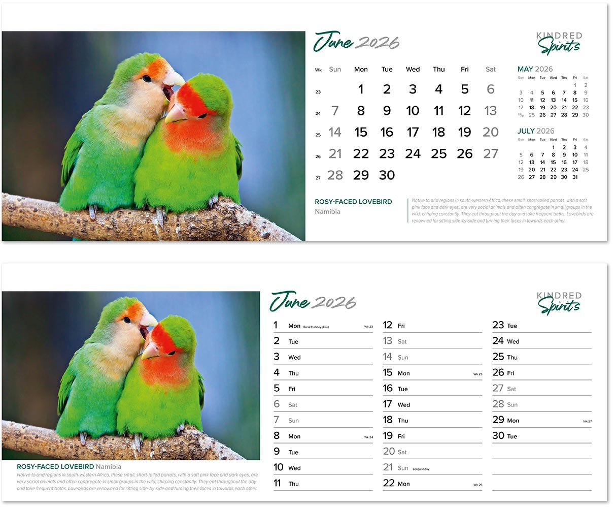 Kindred Spirits Desk Calendar