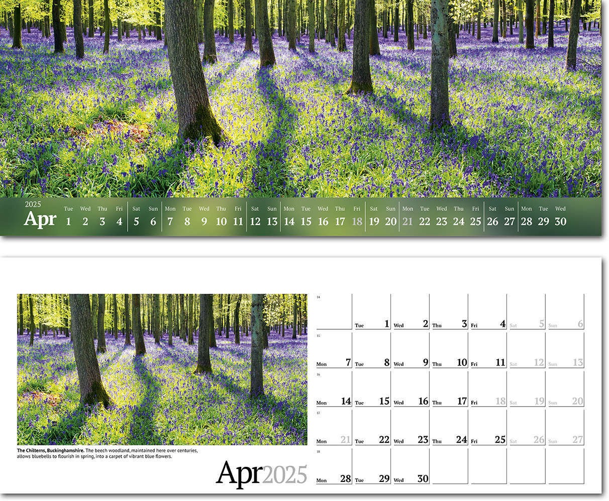 Wild Britain Desk Calendar