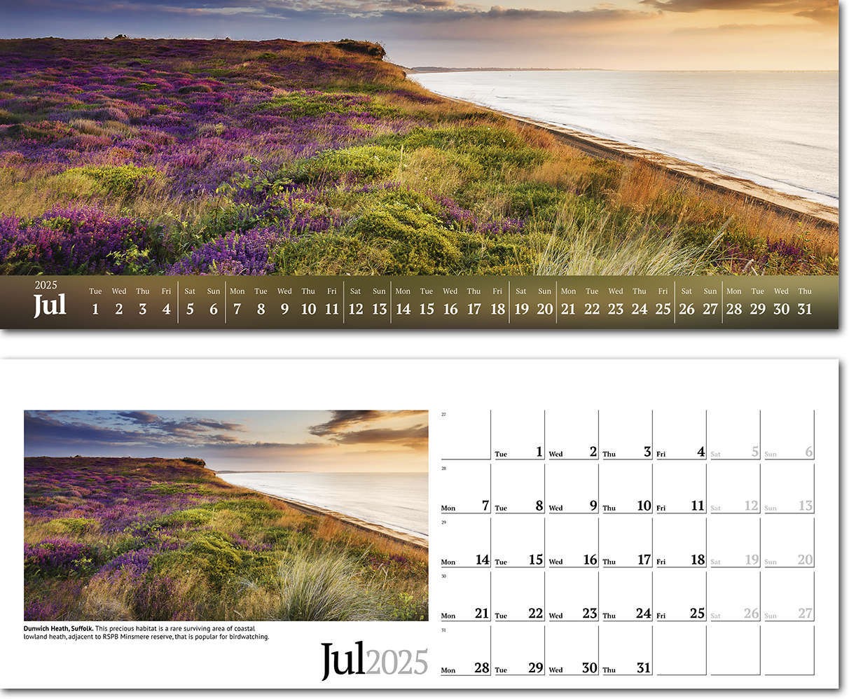 Wild Britain Desk Calendar