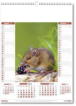 British Wildlife Calendar