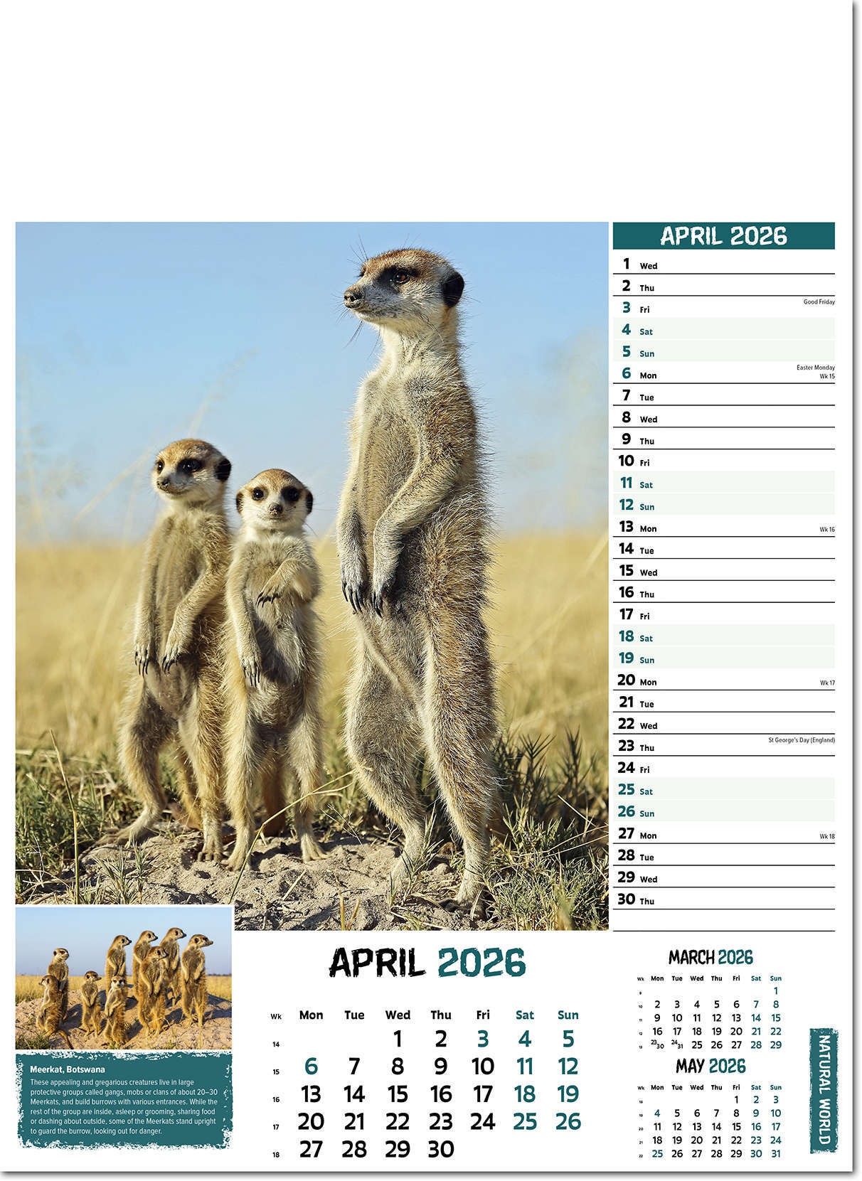 Natural World Wall Calendar