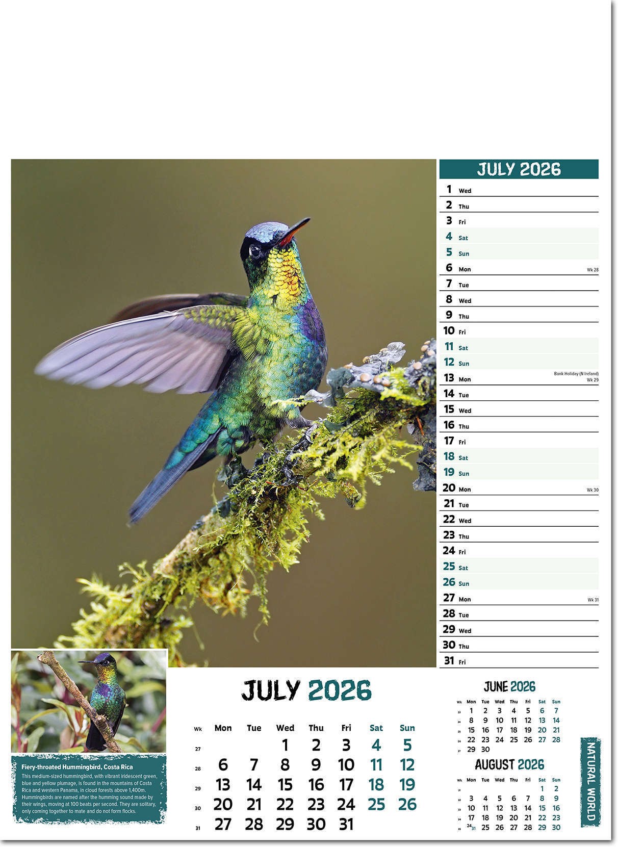 Natural World Wall Calendar