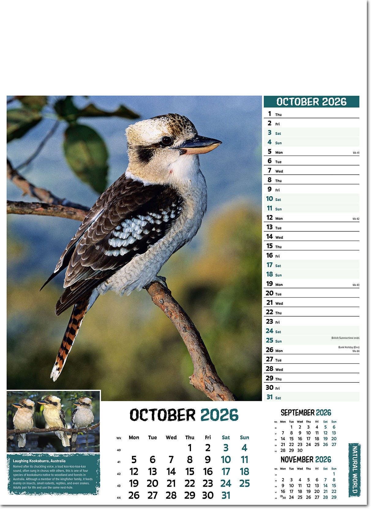 Natural World Wall Calendar