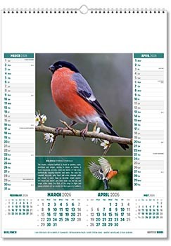 British Birds Calendar