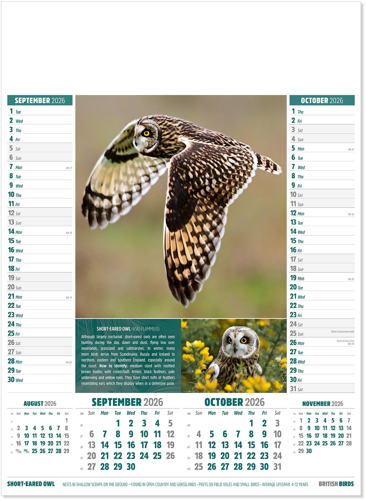 British Birds Calendar