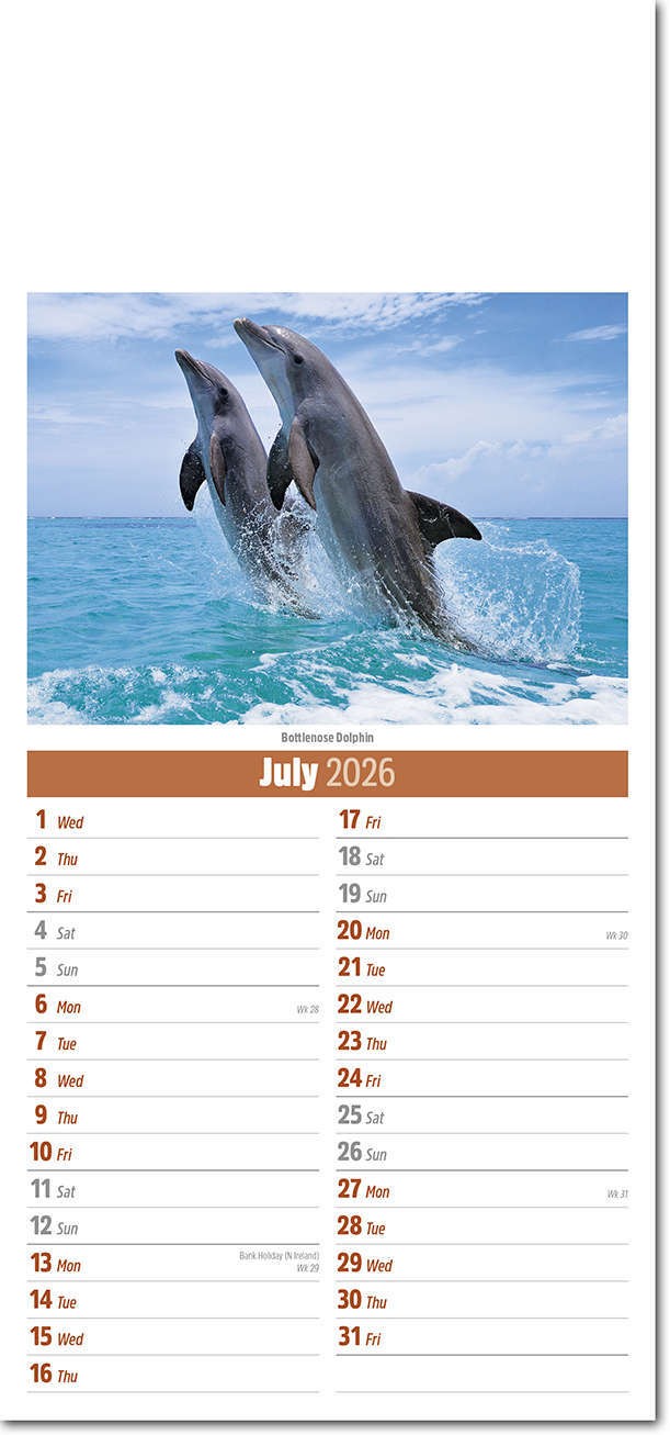 Slimline World Wildlife Compact Calendar